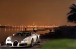 Bugatti Veyron 16.4 Gold Edition 2009 года